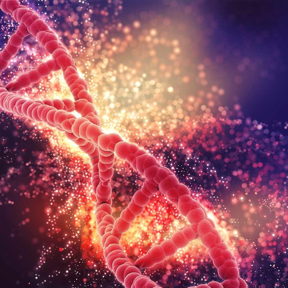 Gene expression studies