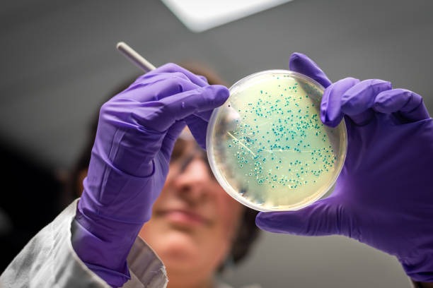 Molecular Biology Techniques